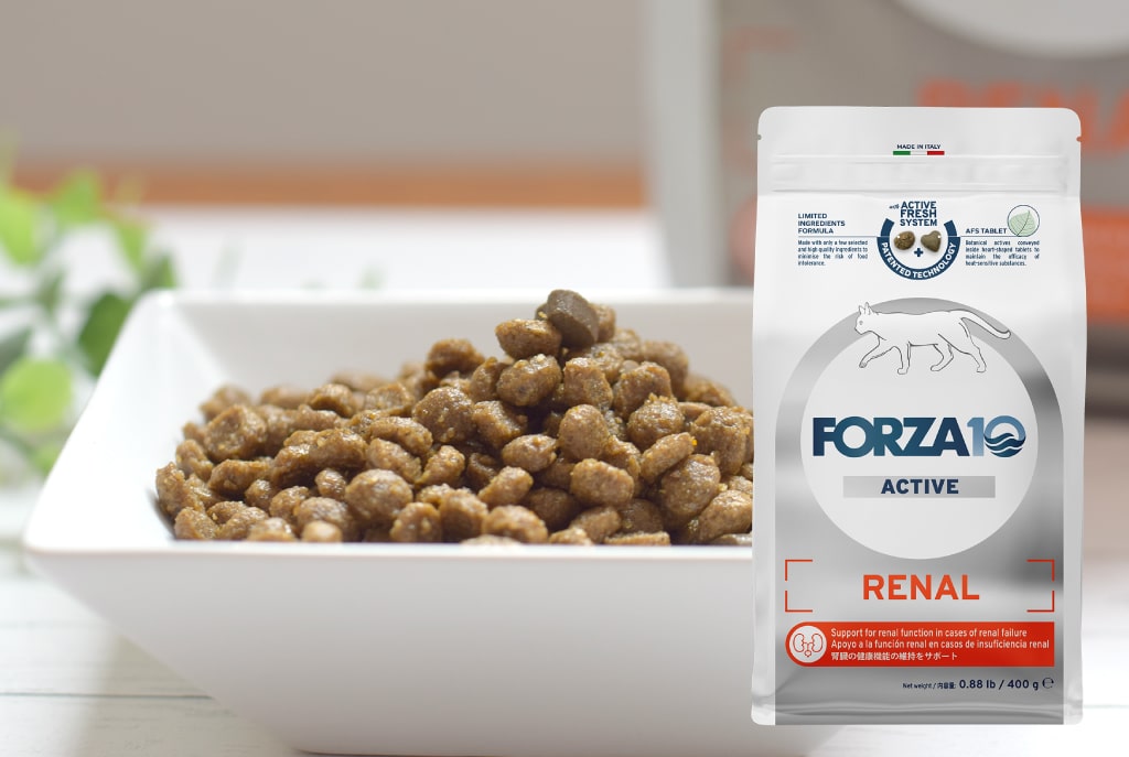 FORZA10�������ƥ��֥饤��