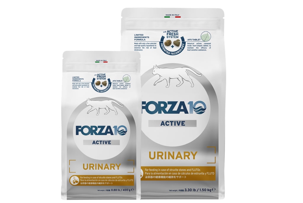 FORZA10�������ƥ��֥饤��