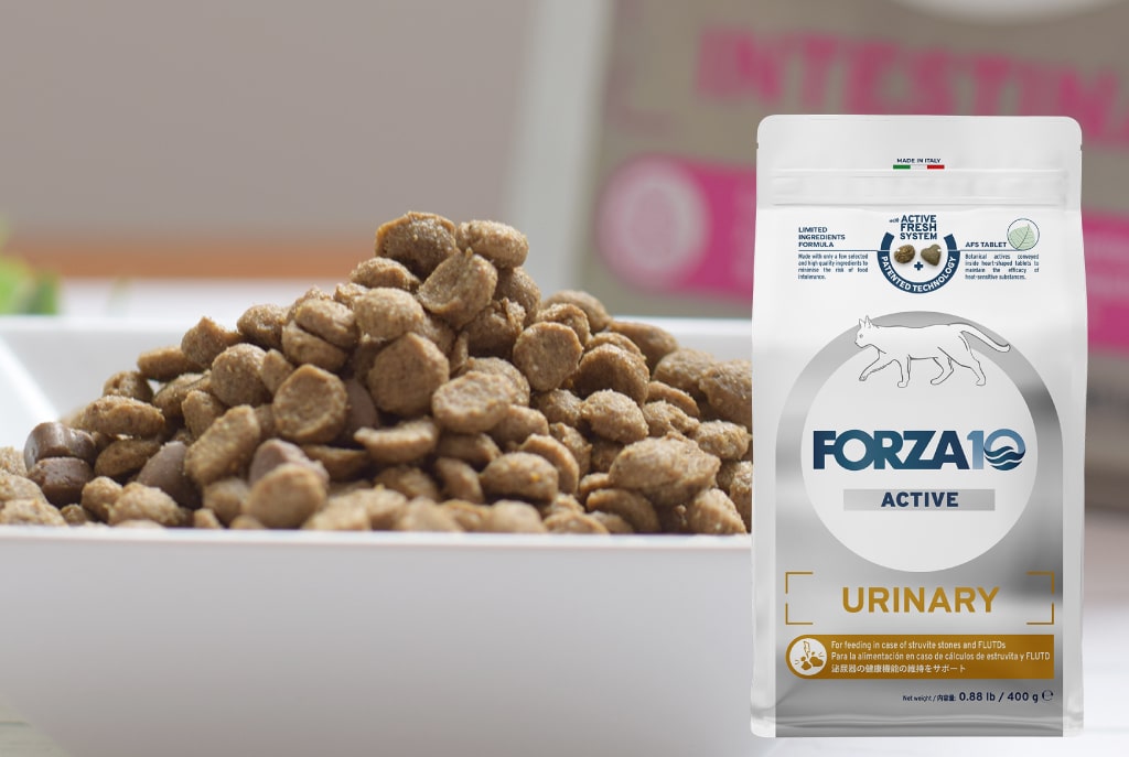 FORZA10�������ƥ��֥饤��