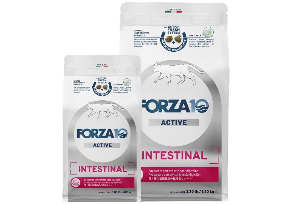 FORZA10�������ƥ��֥饤��