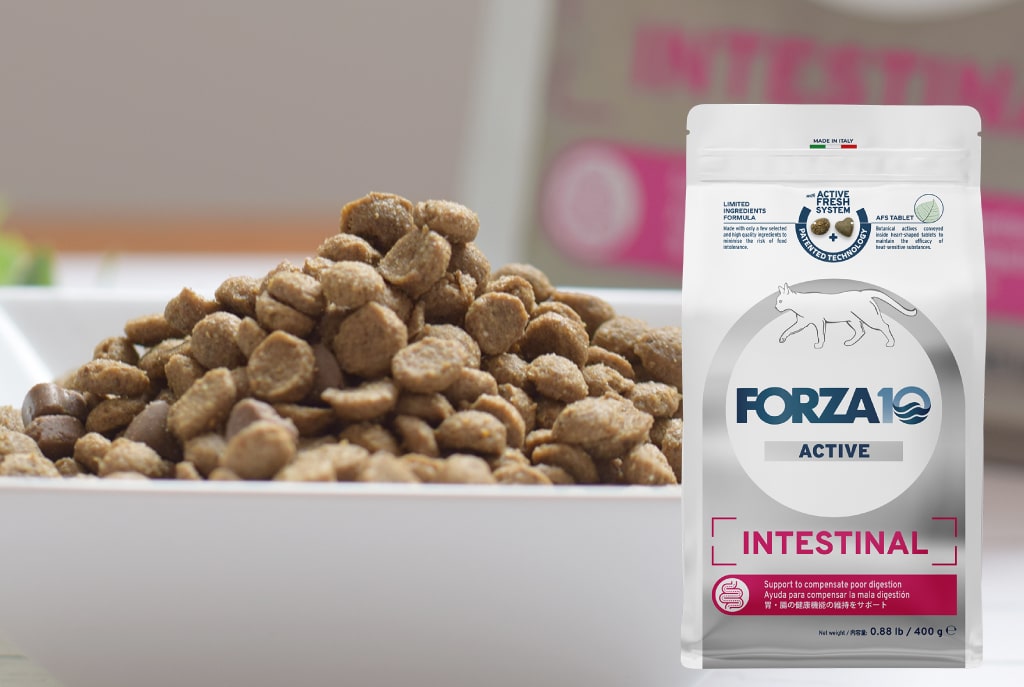 FORZA10�������ƥ��֥饤��