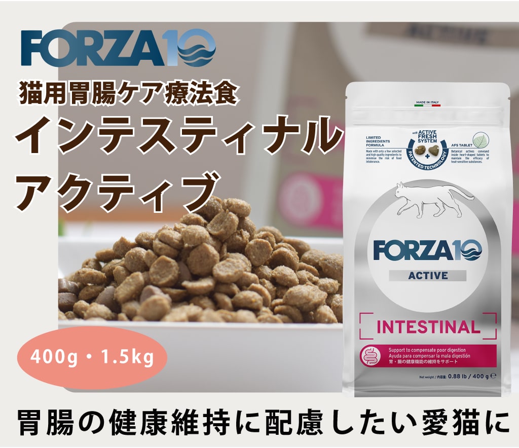 FORZA10�������ƥ��֥饤��