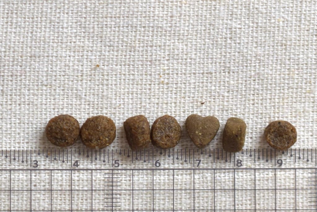 FORZA10�������ƥ��֥饤��