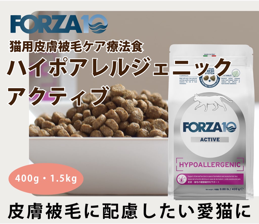 FORZA10�������ƥ��֥饤��