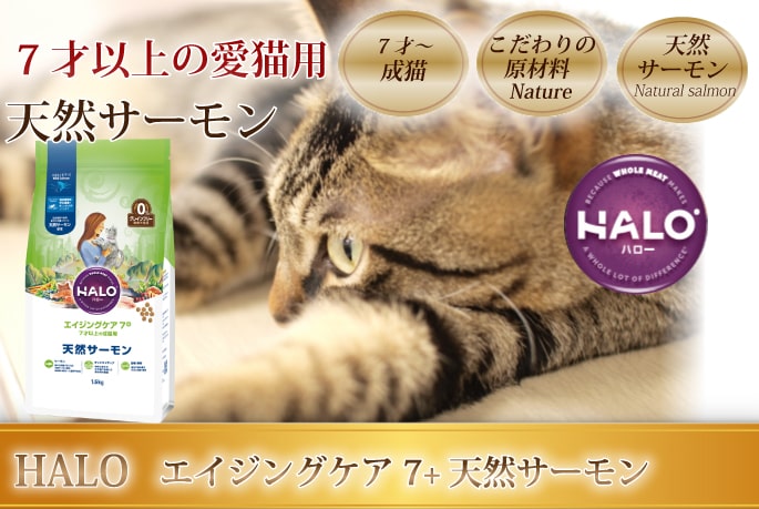 Halo ハロー シニア7 400g 1 6kg ドライキャットフード