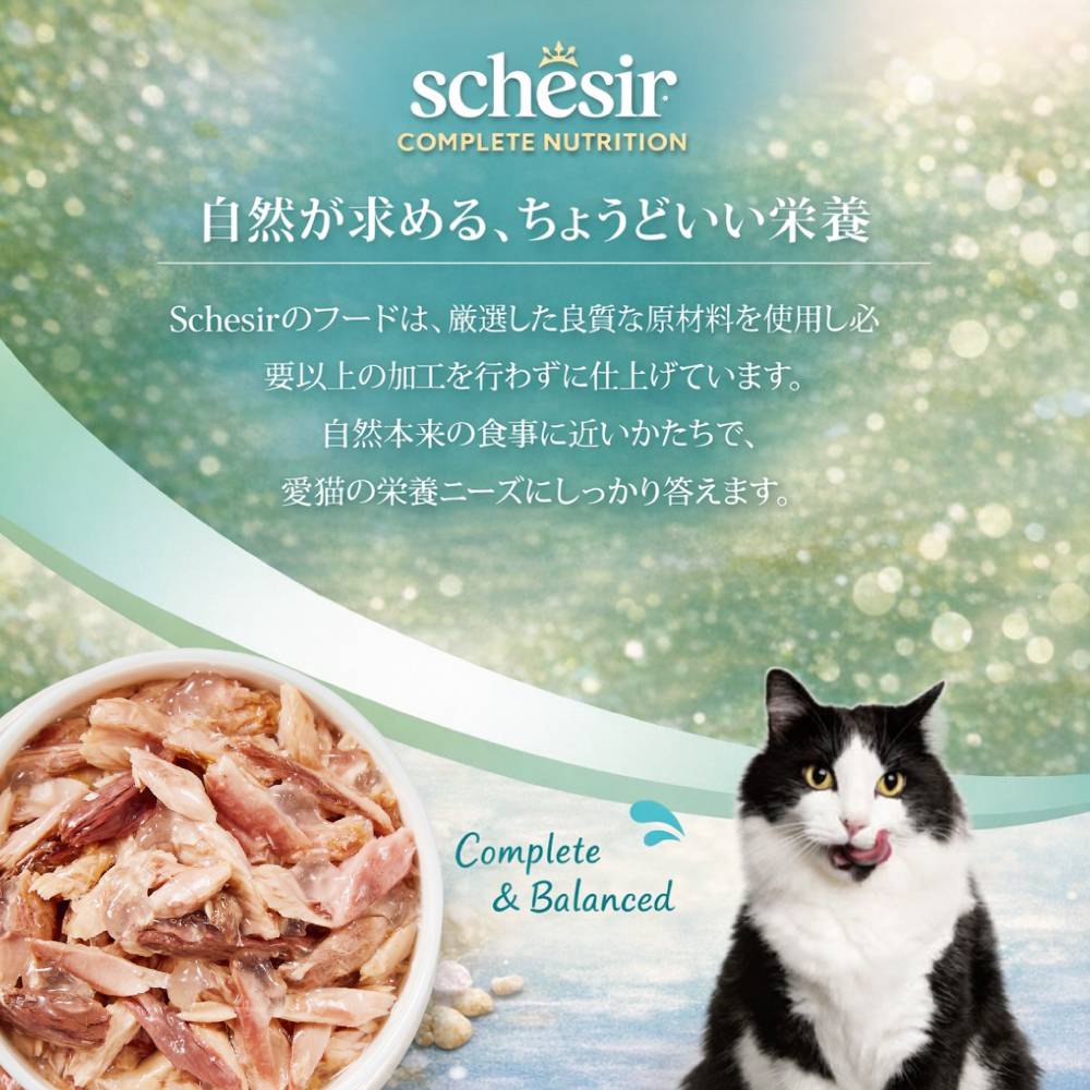 Schesir（シシア）/キャット ツナ 85g 猫缶 ゼリータイプ 成猫用総合