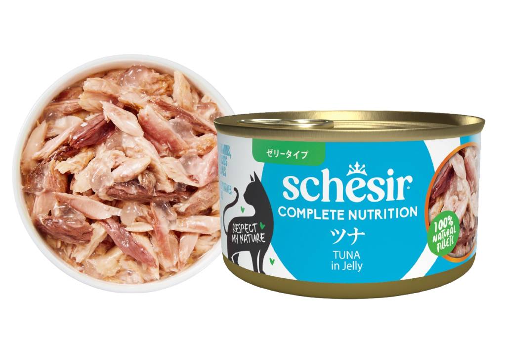 Schesir（シシア）/キャット ツナ 85g 猫缶 ゼリータイプ 成猫用総合