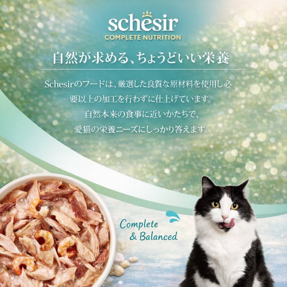 Schesir（シシア）/キャット ツナwithエビ 85g 猫缶 ゼリータイプ 成猫