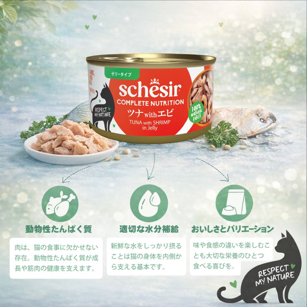 Schesir（シシア）/キャット ツナwithエビ 85g 猫缶 ゼリータイプ 成猫