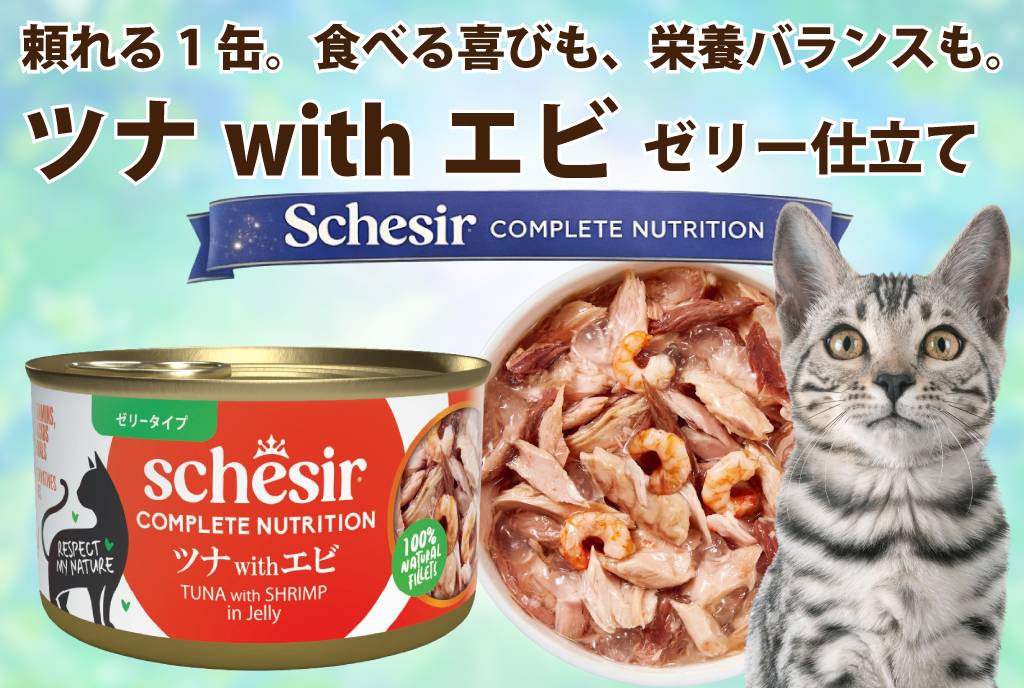 Schesir（シシア）/キャット ツナwithエビ 85g 猫缶 ゼリータイプ 成猫