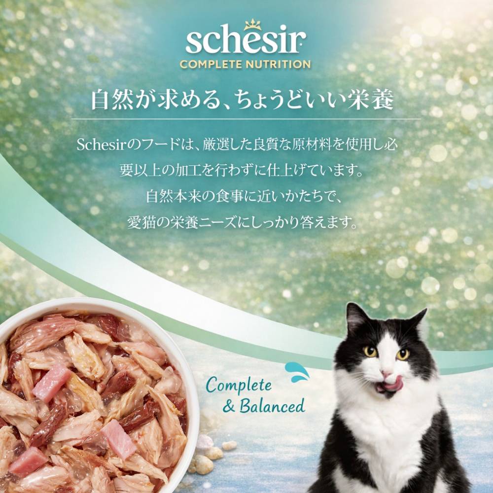 Schesir（シシア）/キャット ゼリータイプ ツナwithハム缶