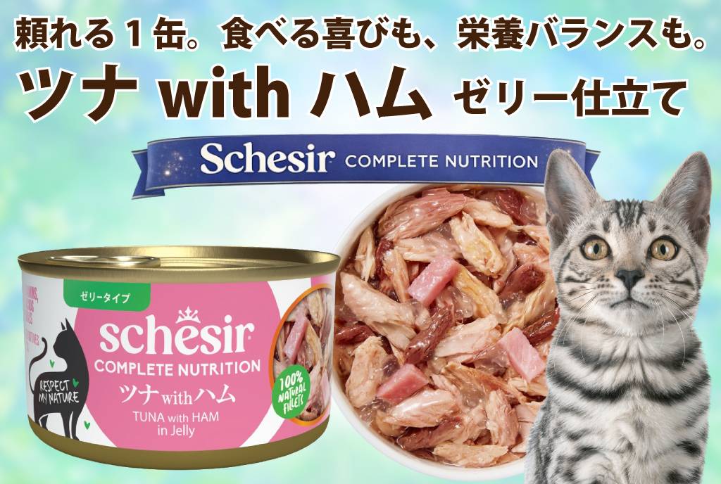 Schesir（シシア）/キャット ゼリータイプ ツナwithハム缶