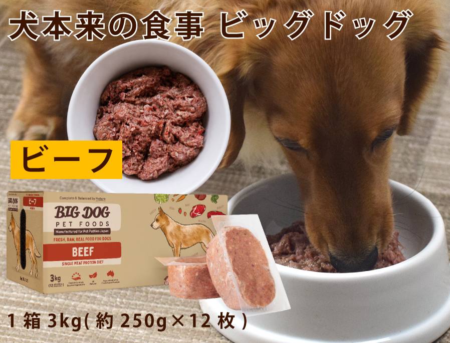 犬用生食 BIGDOG ビーフ 3kg｜ドックフードの通販・帝塚山ハウンドカム