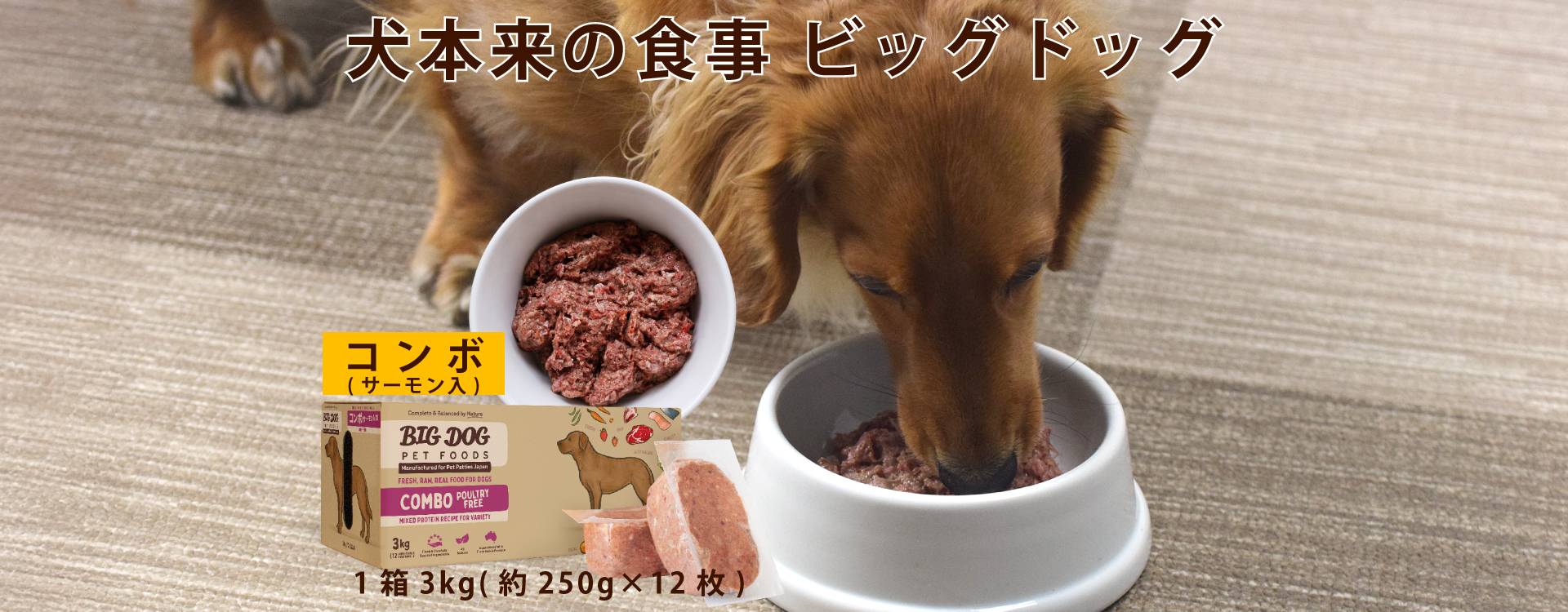 犬用生食 BIGDOG コンボ（サーモン入り） 3kg｜ドックフードの通販