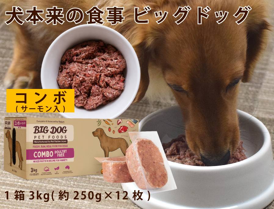 犬用生食 BIGDOG コンボ（サーモン入り） 3kg｜ドックフードの通販