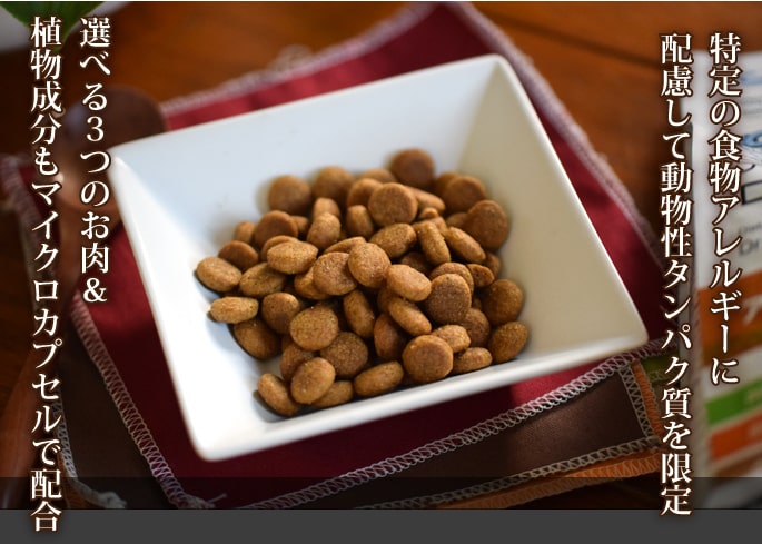 お取り寄せ】FORZA10｜デイリーフォルツァ ローグレイン ミディアム