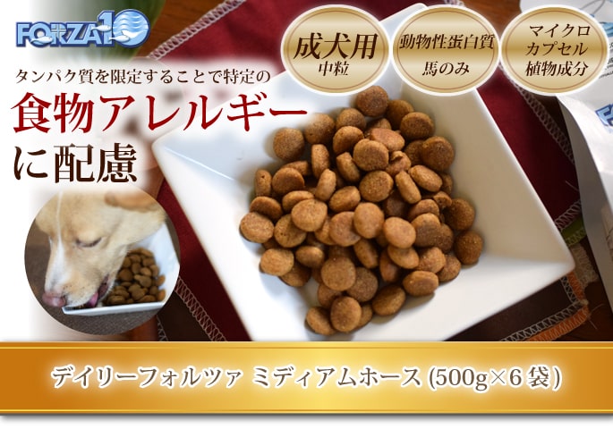 2kg デイリーフォルツァ アダルトミディアムホース 中粒 500g×4