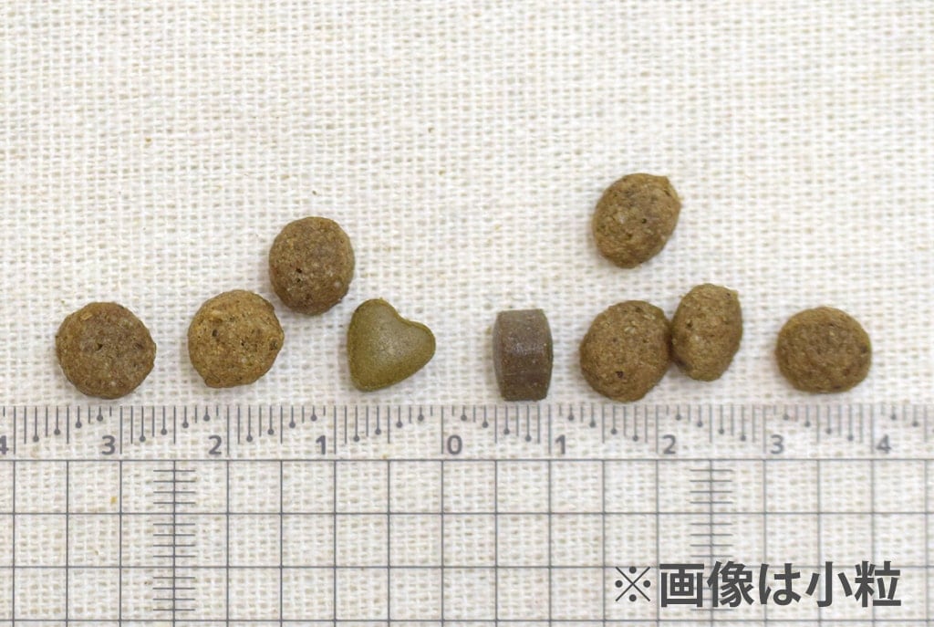 FORZA10�������ƥ��֥饤��