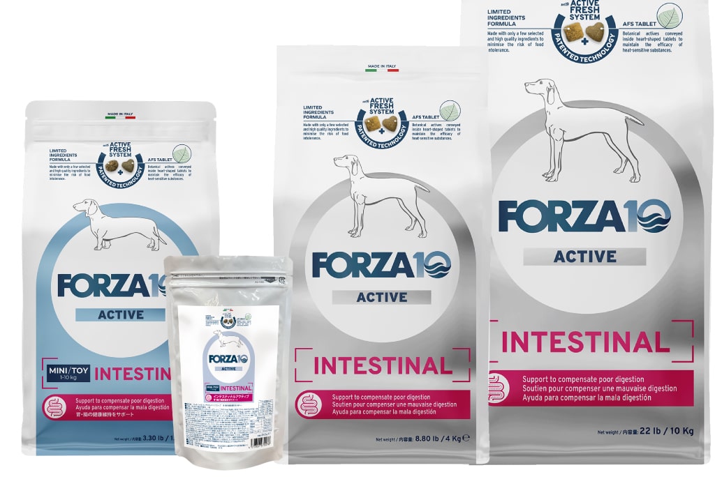 犬 FORZA10療法食｜犬用 インテスティナルアクティブ(胃腸ケア) 250g