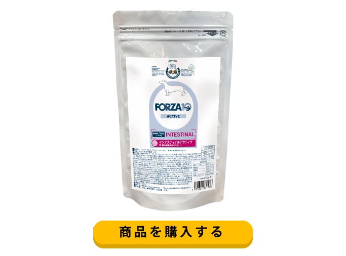 FORZA10 ACTIVE INTESTINAL 4kg フォルツァ犬用 Amazon.com: Forza10 Active Dry Intestinal Dog Food