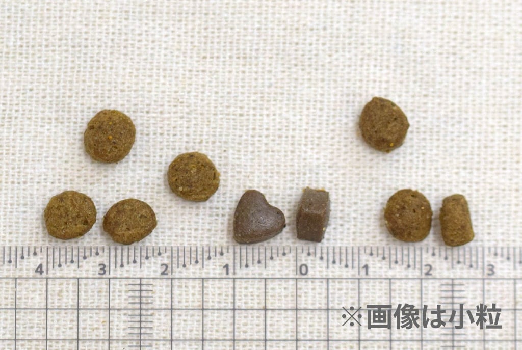 FORZA10�������ƥ��֥饤��