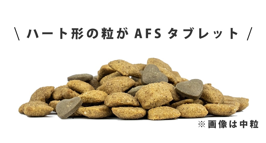 FORZA10 エコーアクティブ 4kg 犬 FORZA10療法食｜犬用 エコーアクティブ(耳ケア) 250g / 1.5kg