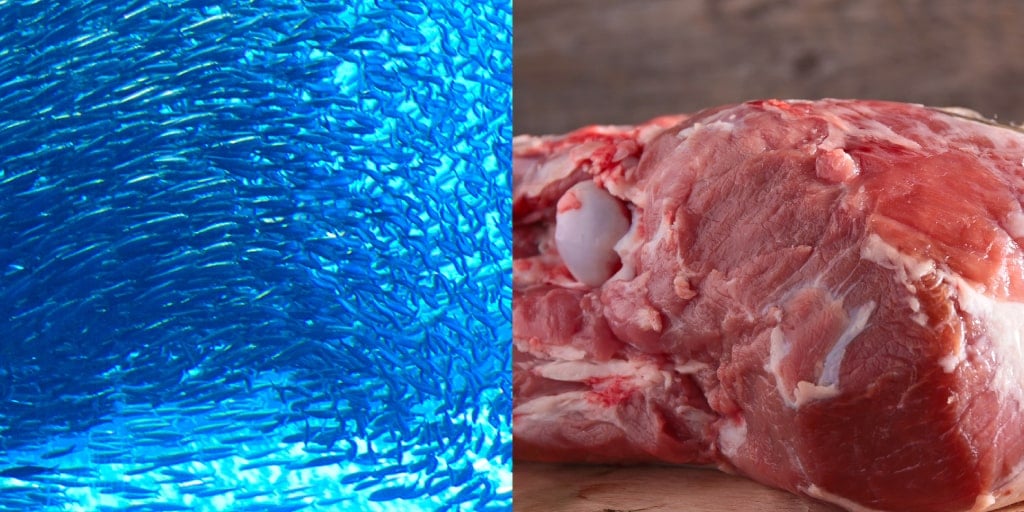 FORZA10�������ƥ��֥饤��