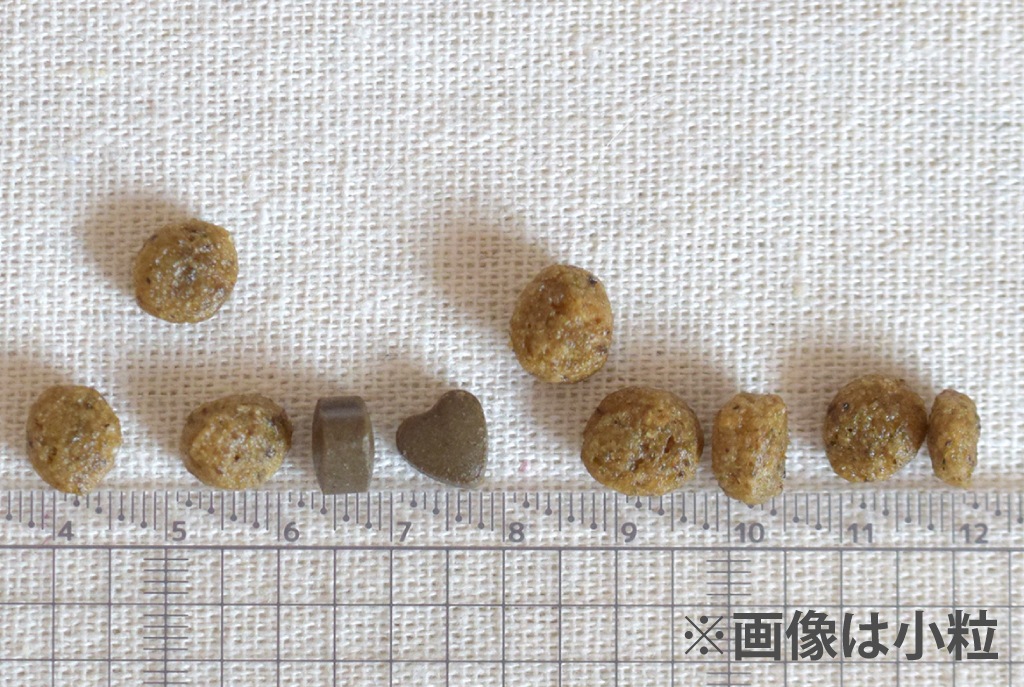 FORZA10�������ƥ��֥饤��