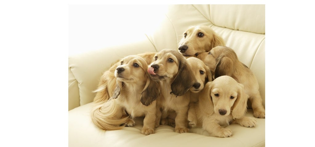 �Ҹ���������ܿ�