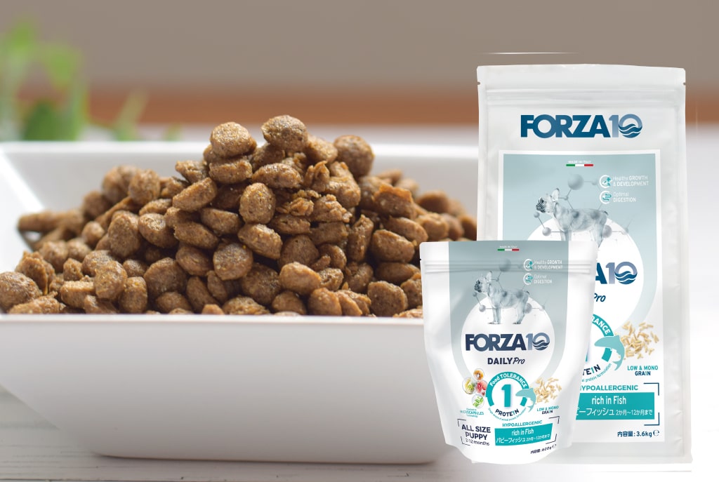 FORZA10���ǥ��꡼�ץ�