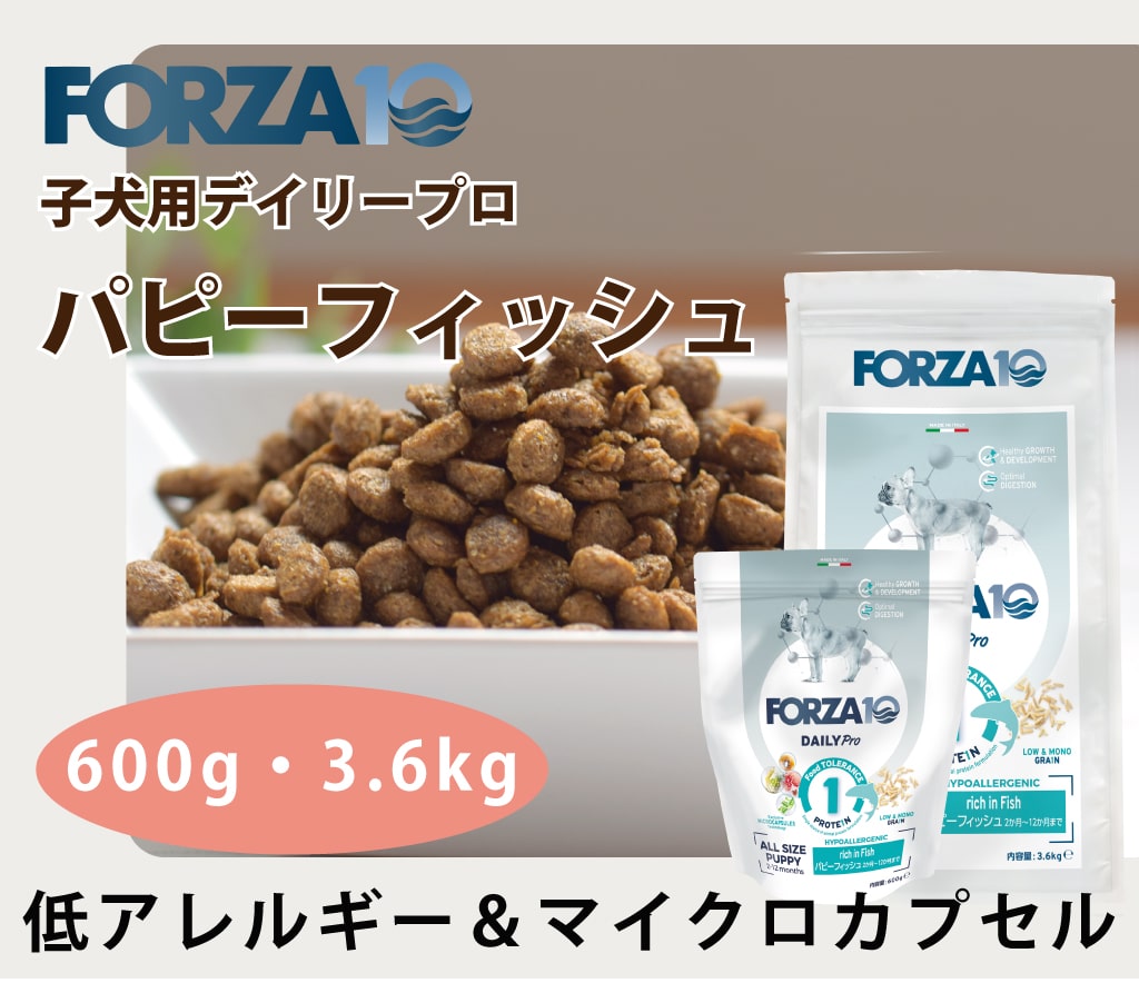 FORZA10���ǥ��꡼�ץ�