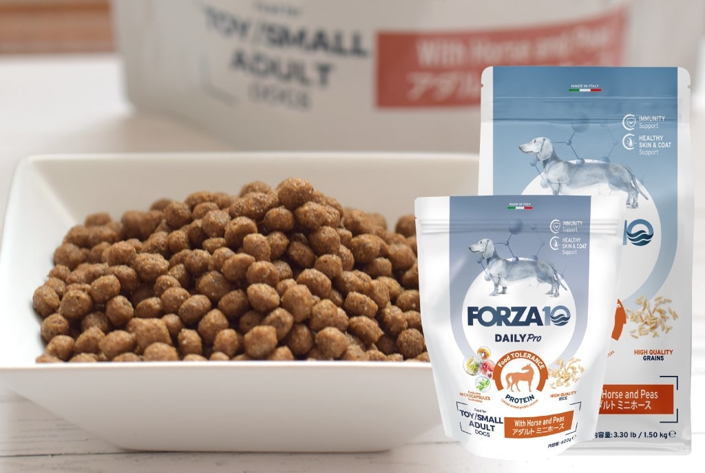 FORZA10���ǥ��꡼�ץ�