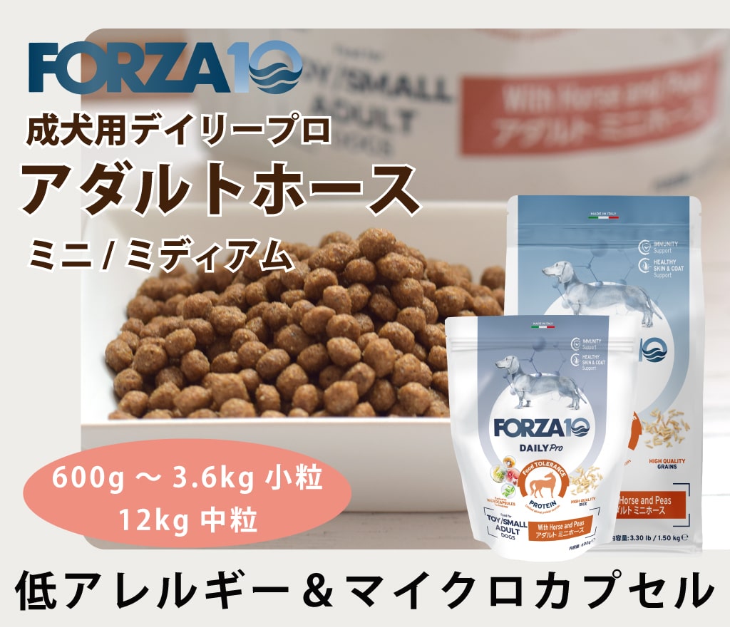 FORZA10���ǥ��꡼�ץ�