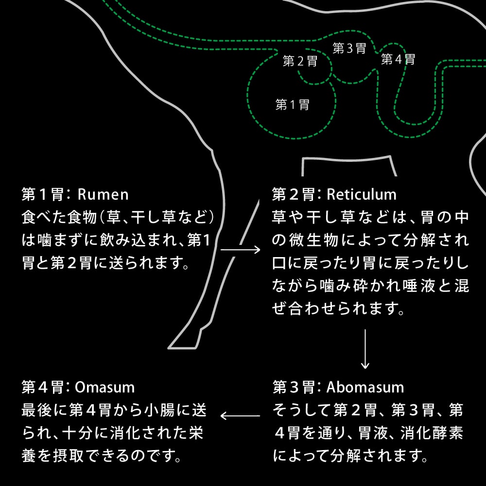 ȿ����ưʪ�ΰ�