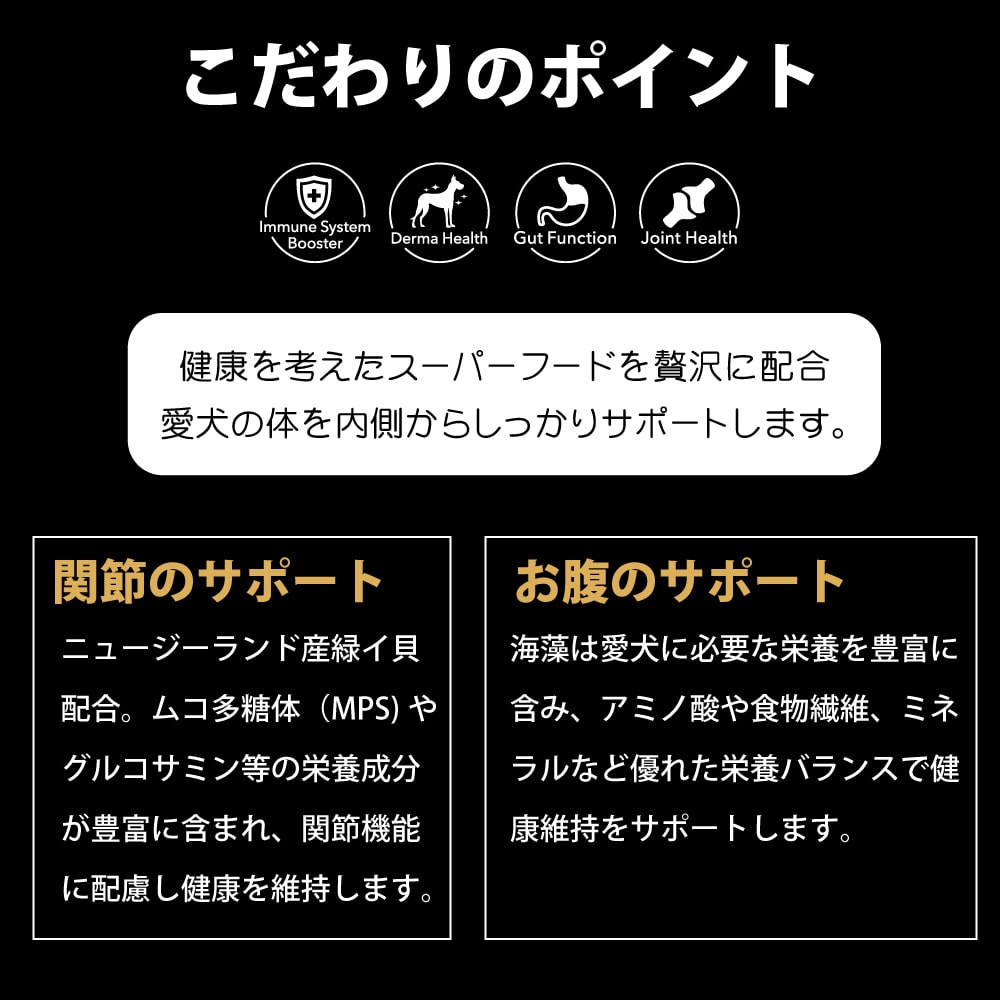 �������Υݥ����