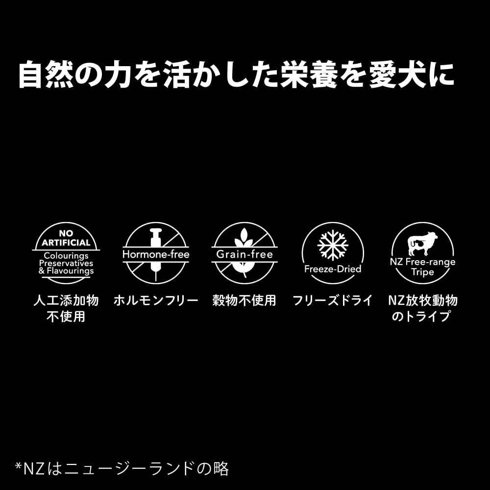 �������α���