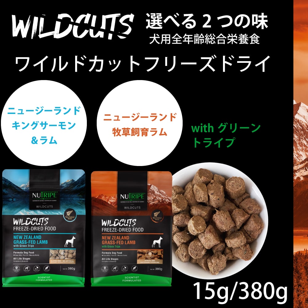 ���ѥ˥塼�ȥ饤�ס��磻��ɥ��åȡ��ե꡼���ɥ饤