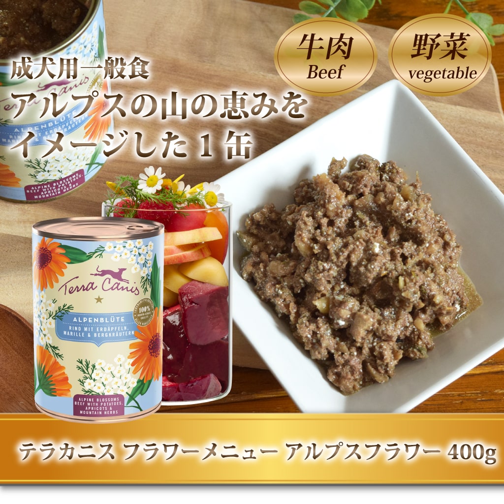 【EN】十二花弁の袈裟　/　Twelve Petal Kāṣāya　CF CTT61-32 - DiBella Flowers & Gifts