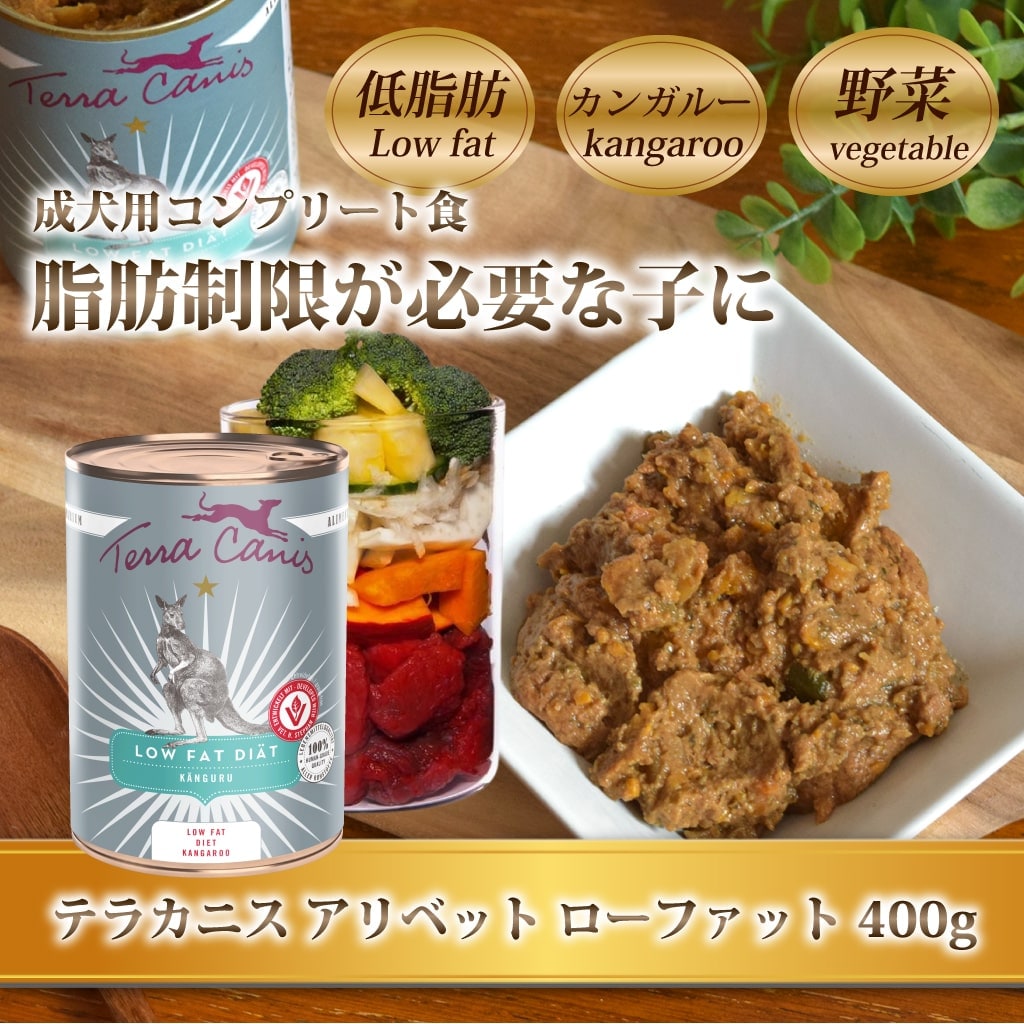 �ƥ饫�˥�������٥åȡ������ե��åȡ����󥬥롼