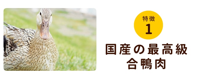 犬用 生肉｜合鴨ミンチ 500g 1kg 3kg 【最高級合鴨】ドッグフードの通販・帝塚山ハウンドカム