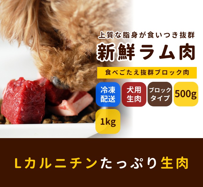 犬用 生肉 ラム肉 ブロック ドックフードの通販 帝塚山ハウンドカム