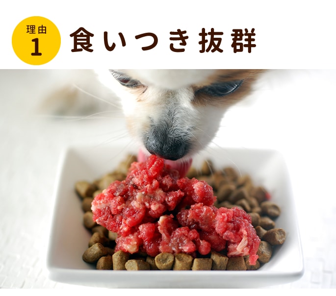 犬用 馬肉 冷凍生馬肉 荒挽き カナダ産1kg 500g 2 帝塚山ハウンドカム