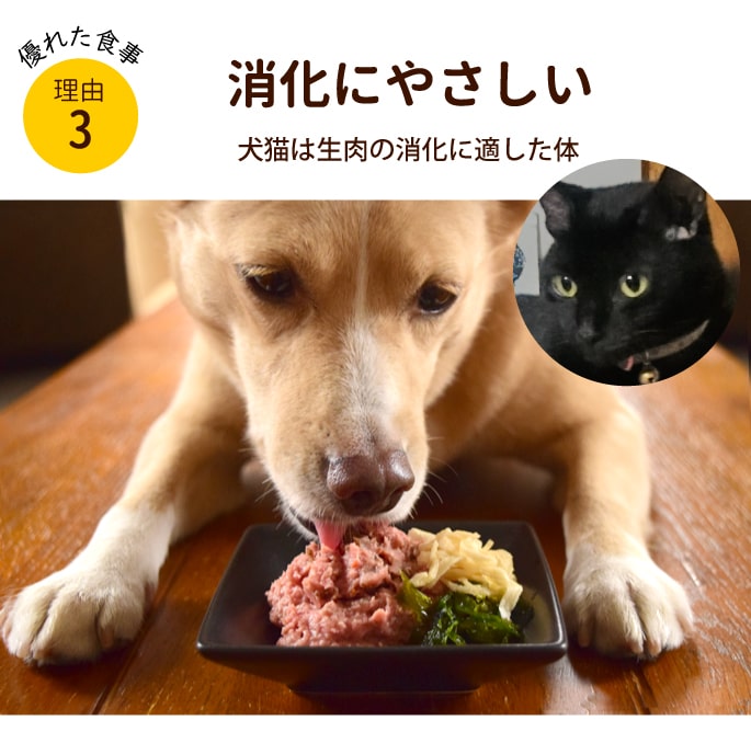 犬用猫用 生肉｜国産 ウズラミンチ 【最高級うずら】 500g/1kg/3kg