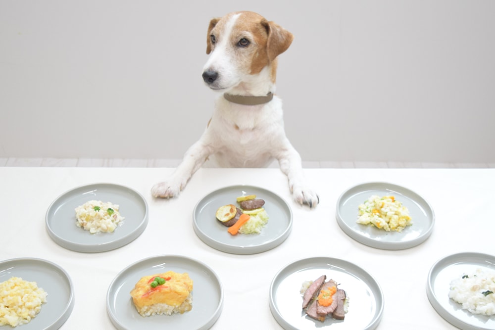 ��餷�ˤʤ���������ꤴ�Ϥ���礭�ʼ̿�