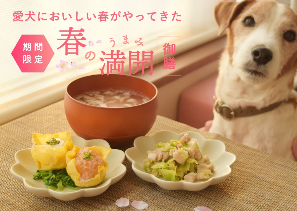 �դΤ��ޤ���������pc��fv