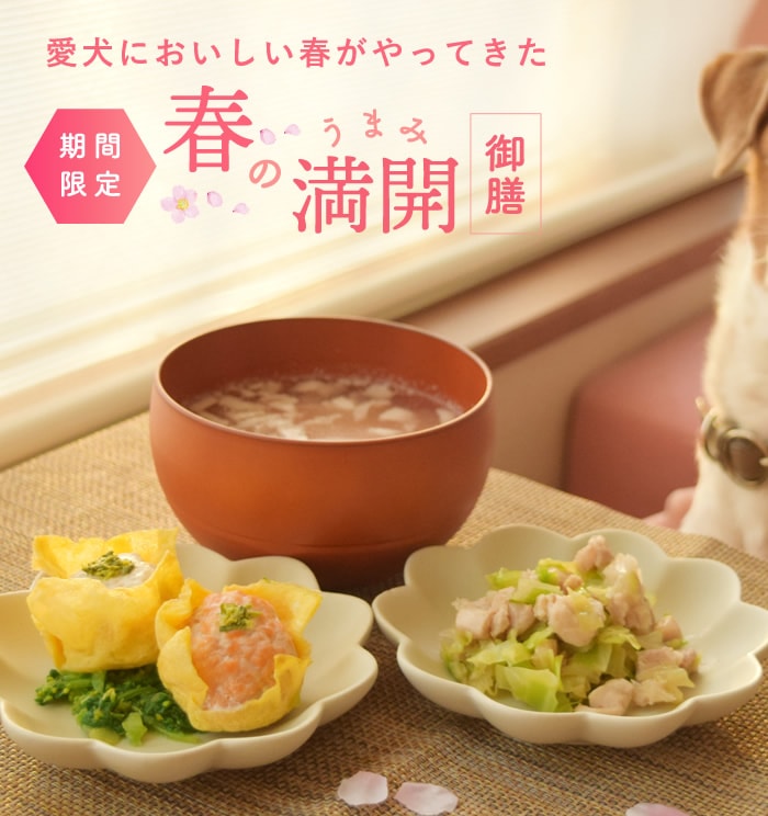 �դΤ��ޤ���������sp��fv