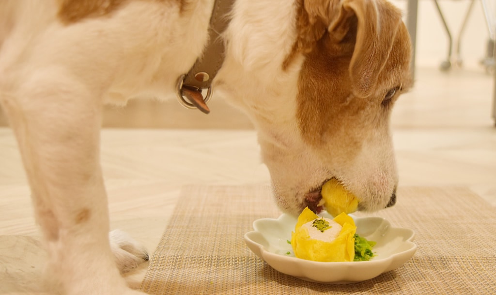 ���Ǵ�����դ�ˬ��