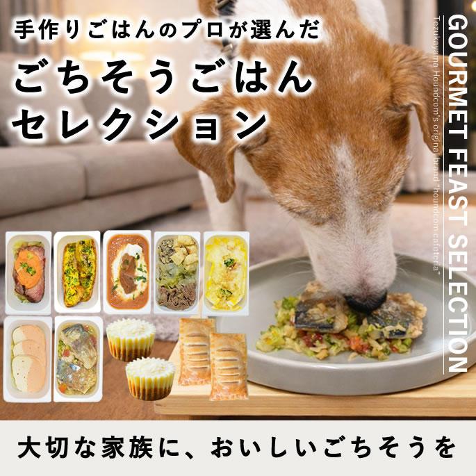 �����������Ϥ󥻥쥯�����