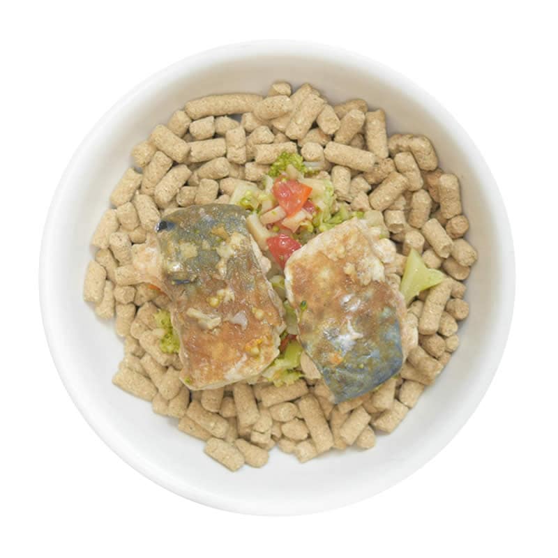 ���ʻ��Ѽ̿�