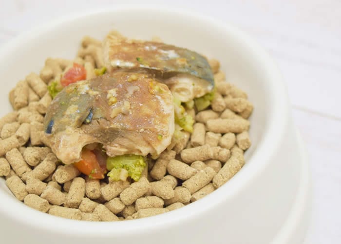 ���ʻ��Ѽ̿�